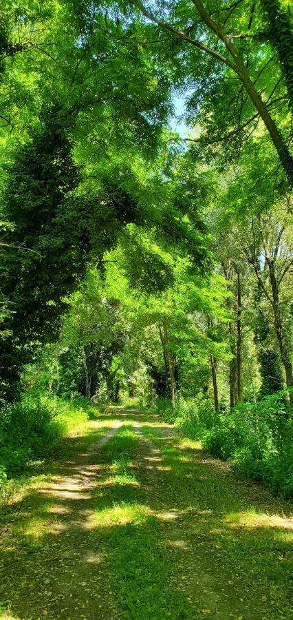 Agriturismo La Lenticchia Фратта-Терме Экстерьер фото