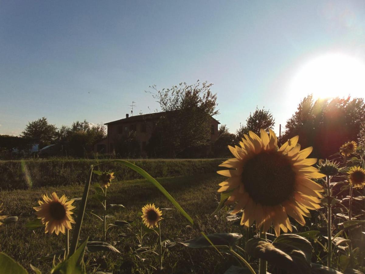 Agriturismo La Lenticchia Фратта-Терме Экстерьер фото